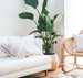lifestyle 55